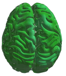 Brain after treatment - normalized patterns